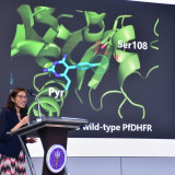 อว. โดย “สวทช.” และ “มหิดล” จับมือพัฒนายาต้านมาลาเรียตัวแรกข ... พารามิเตอร์รูปภาพ 3